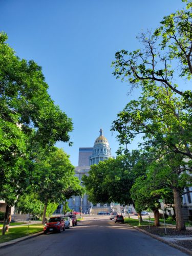 Photo of the Colorado State Capitol, framed by trees on Sherman Street. Taken on Sine Die 2021.