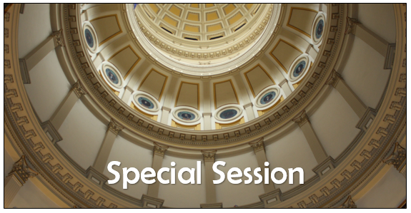 What’s So Special About a Special Session?